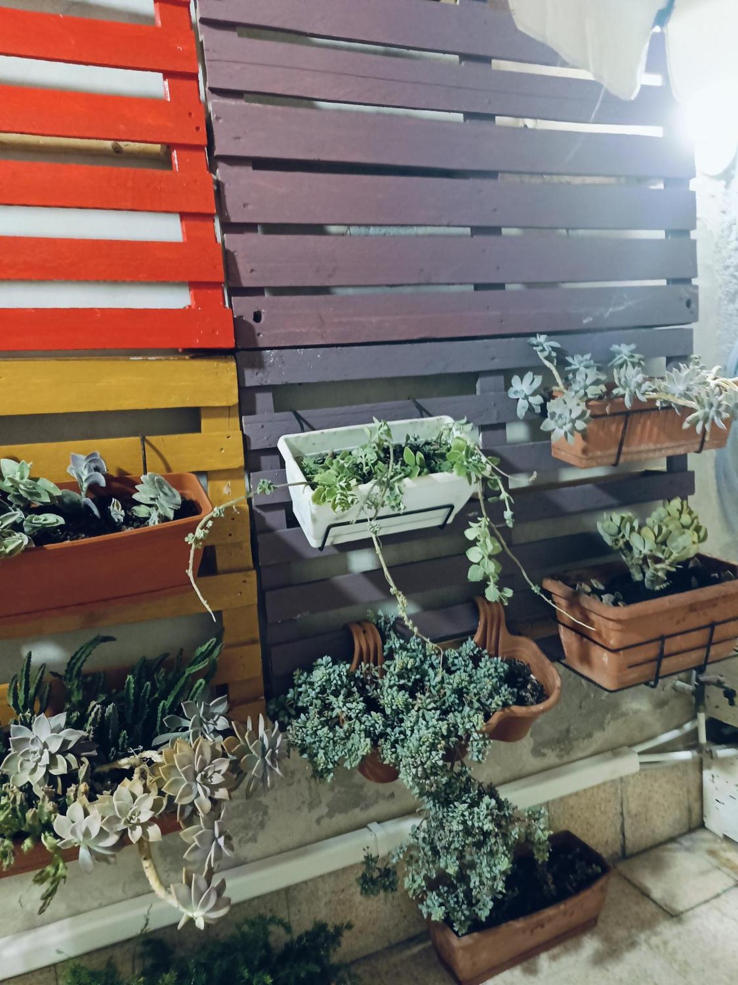 Casa Ierone L'Etneo Apartment Syracuse Ngoại thất bức ảnh